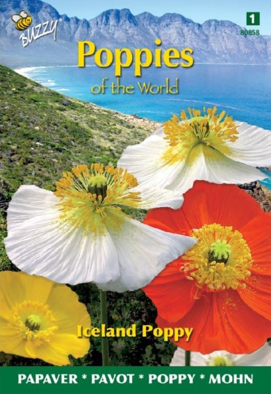 Iceland poppy (Papaver) 4000 seeds